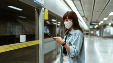 development of online platform