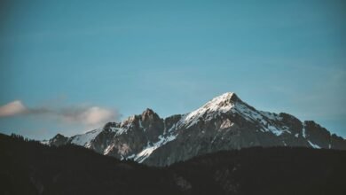 it management services secure