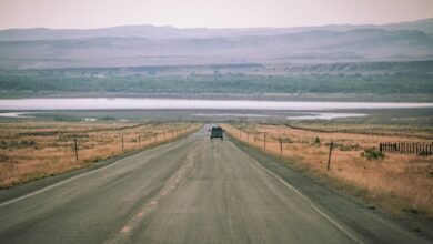 traffic expansion for leads